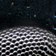 Imagen para el artículo titulado Fotografías macroscópicas tan nítidas que parecen irreales